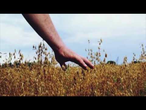 Henio - Chwalmy Pana