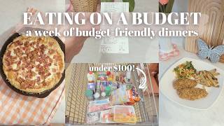 EATING ON A BUDGET // budget-friendly dinners, Aldi grocery haul, cook with me