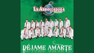 Déjame Amarte Lyrics English Translation