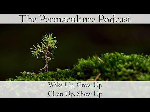 Wake Up, Grow Up, Clean Up, Show Up.