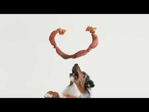 Kmart Low Prices For Life - Dog Toys & Basketballs