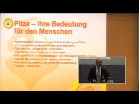 Wunde rechte vordere obere Quadranten geben in dem Rücken Keine Schmerzen während der frühen Schwangerschaft
