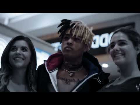 NOVA - WHITLEY // J I M