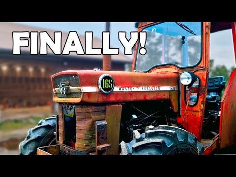 Massey Ferguson 165 4WD Front Axle Repair FINALE! | 5 Weeks of Blood, Sweat, and Gears