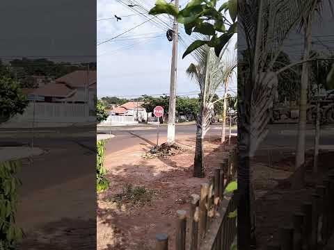 centro de Francisco Alves pr;