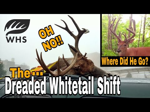 When Do Summer Bucks Disappear?