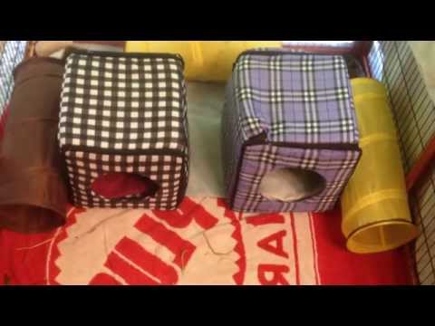 Yuki Suzuki and Ollie Yoshi