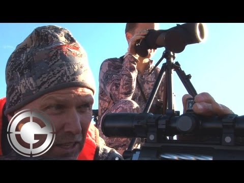 Wyoming Elk at 1090 Yards Kill Shot - Long Range Hunting