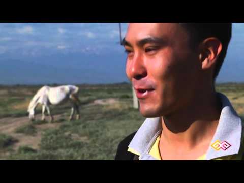 "Атакәсіп" - Жылқыларды жайлауға көшіру