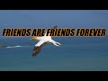 Friends Are Friends Forever Acapella With Lyrics