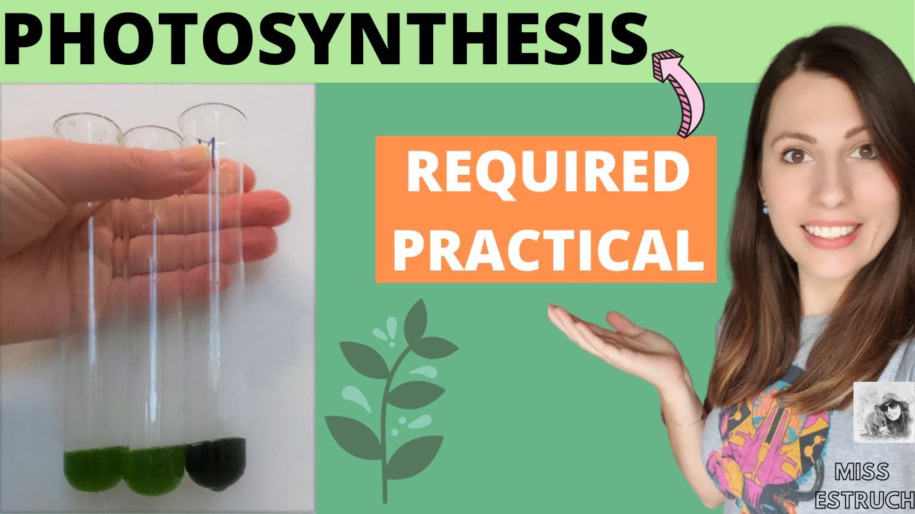 A-level Biology PHOTOSYNTHESIS REQUIRED PRACTICAL - AQA required practical 8 aim, method, conclusion
