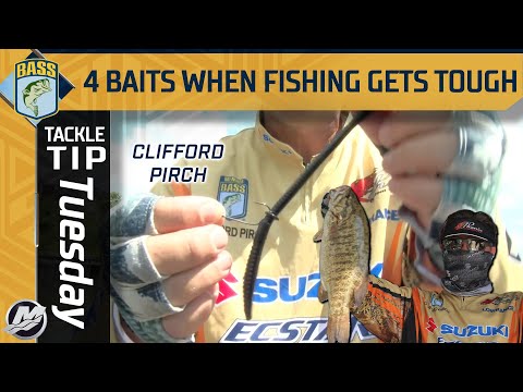 Four baits you NEED to use when fishing gets TOUGH