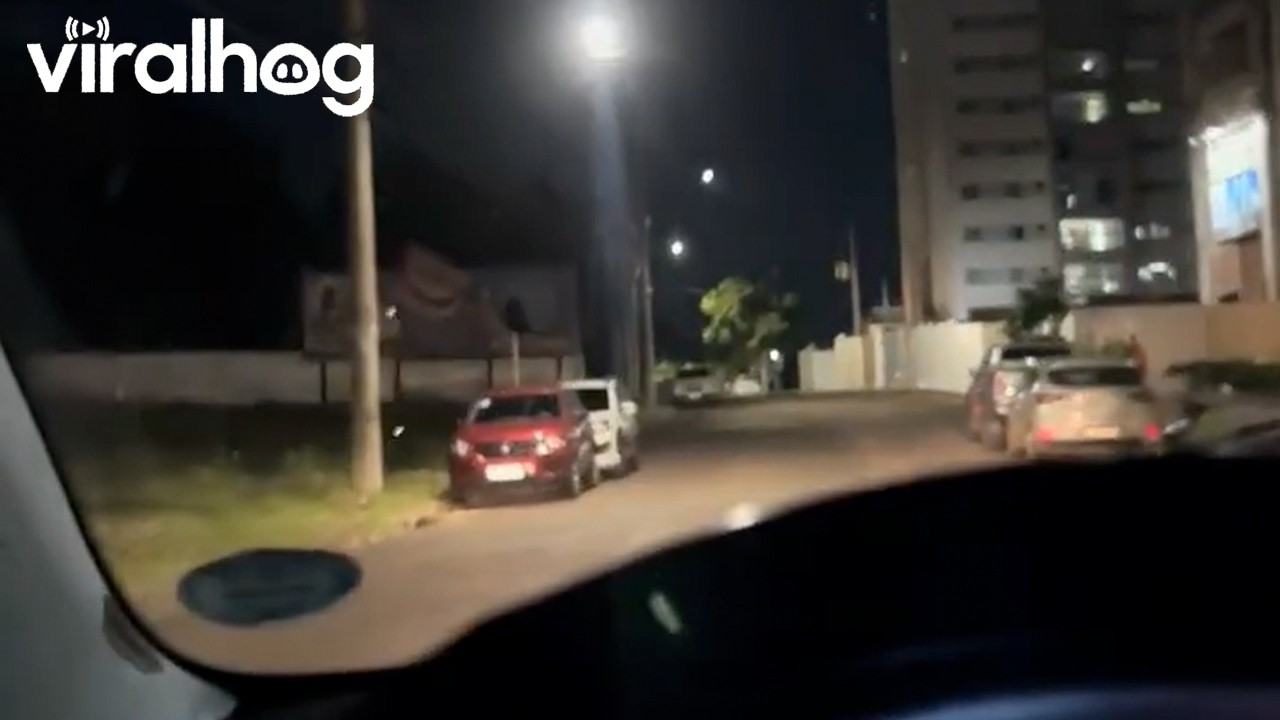 Driver Spots Motorcycle Narrowly Avoiding Disaster || ViralHog