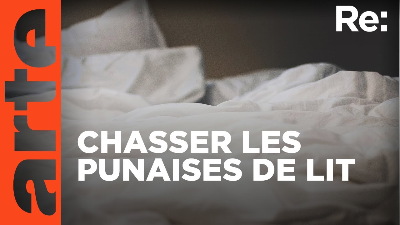 La chasse aux punaises de lit | Reportage | ARTE
