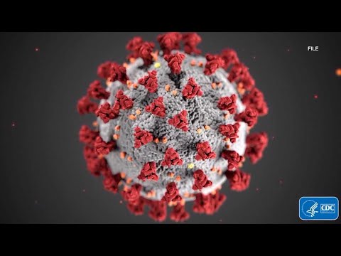 COVID-19 cases rise in Kern County as new 'Stratus' variant spreads through community wastewater