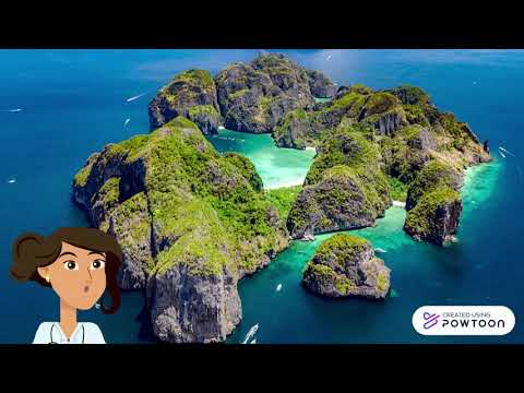 Un destin Insolite: Monkey Beach