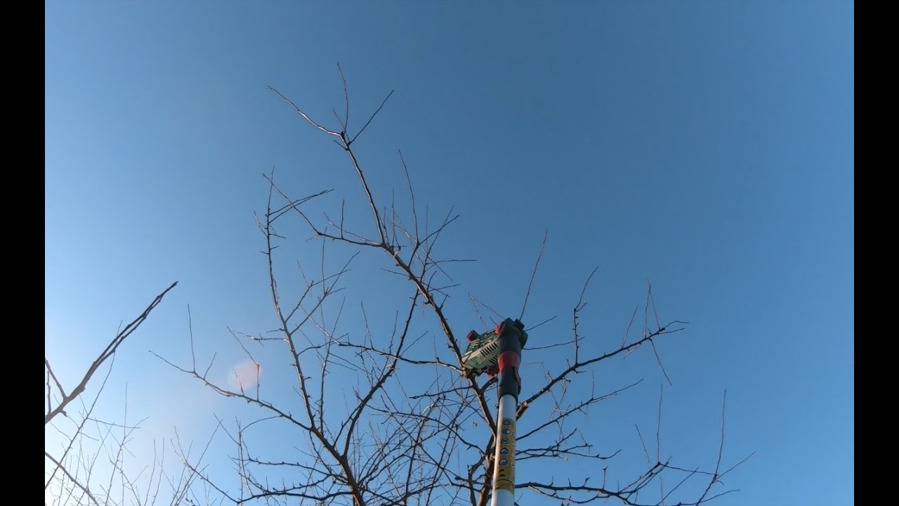 Okrzesywarki Parkside  20 Li B2  piła  akumulatorowa  20 V test  w  sadzie .