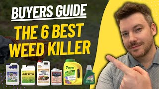 TOP 5 BEST WEED KILLER: Top Weed Killers (2023)