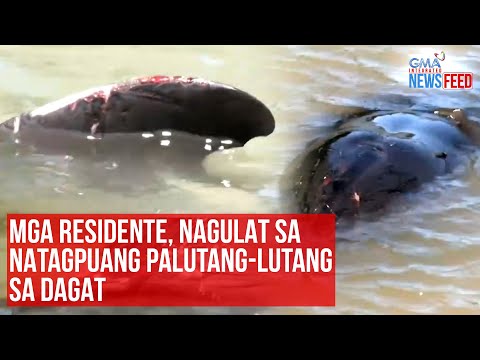 Mga residente, nagulat sa natagpuang palutang-lutang sa dagat GMA Integrated Newsfeed