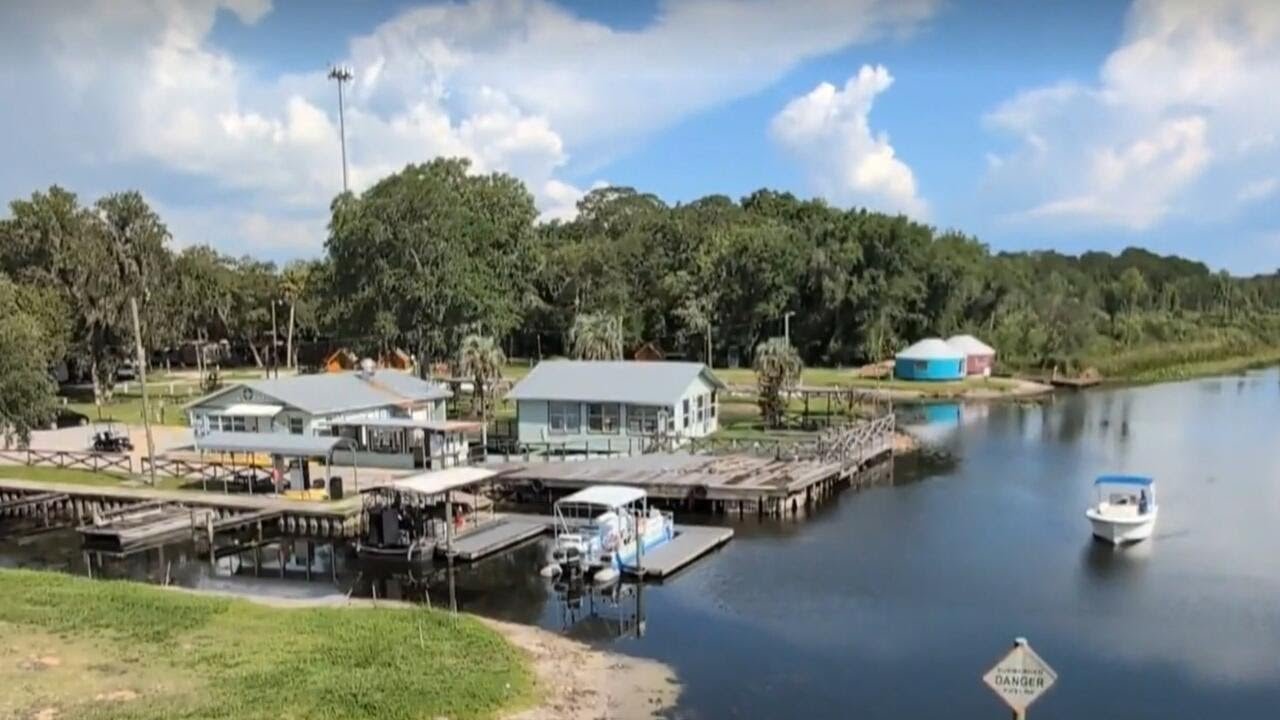 Recent alligator and crocodile attacks in Florida, Mexico raise safety concerns