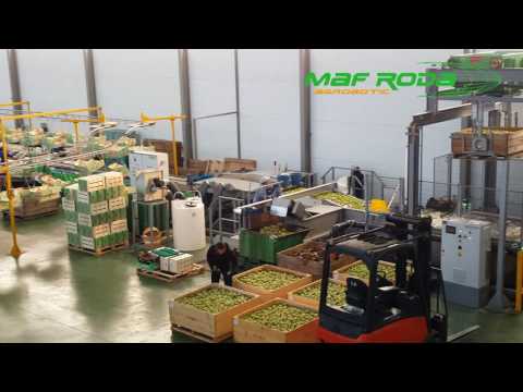 Mahigpit na diyeta para sa pagbaba ng timbang kepe at mansanas Paraan upang mangayayat limon at bawang