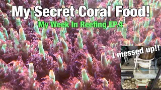 My Secret Coral Food!