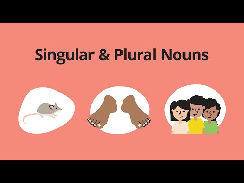 Singular & Plural Nouns – English Grammar Lessons