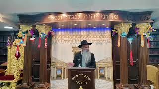 הרב מאיר דוד שמואלי - ליל שישי פרשת תצוה תשפ"ו