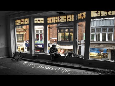 Forty Shades of Grey - CHEWIE