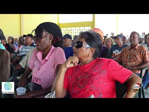 Description or Alt Text