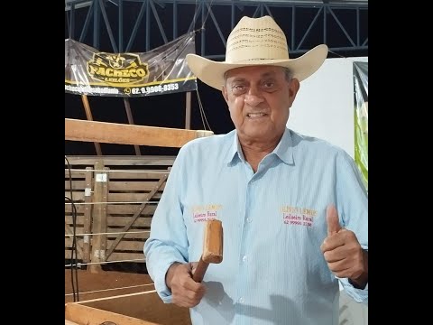 PACHECO LEILÕES - ABADIÂNIA - GO - 06/02/2026