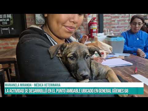 SALTA - Pet Friendly: se lograron dar en adopción a cinco perros adultos #canal7salta
