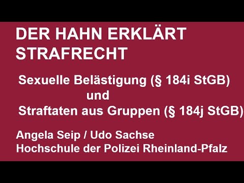 Der Hahn erklärt Strafrecht §§ 184i und 184j StGB Stand 03 02 2021