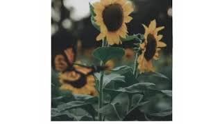 Download lagu LITERASI 30 DETIK #75 || ARMADA - ASAL KAU BAHAGIA (COVER) || STORY WA KEKINIAN mp3 Download lagu LITERASI 30 DETIK #75 || ARMADA - ASAL KAU BAHAGIA (COVER) || STORY WA KEKINIAN mp3