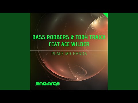Place My Hands (feat. Ace Wilder) (Radio Edit)