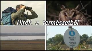 A Természet Hírei