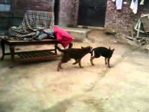 video 2012 07 22 07 05 26