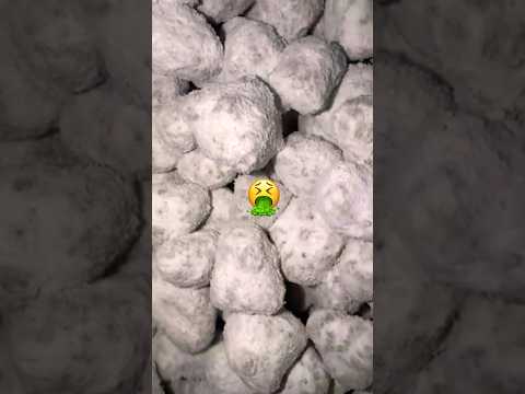 What are SNOWBALLS? 🍃🤮🫷