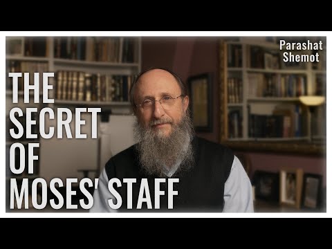Parashat Shemot 5785 | The Toolkit of Miracles