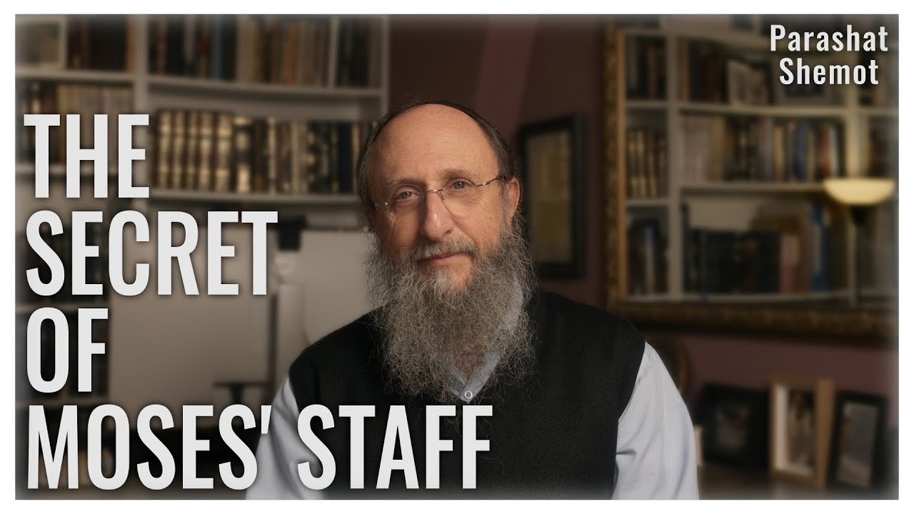 Parashat Shemot 5785 | The Toolkit of Miracles