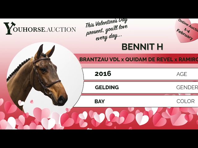 Bennit showvideo