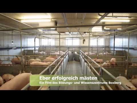 Ebermast - das Bildungs- und Wissenszentrum Boxberg (LSZ) als kompetenter Ansprechpartner