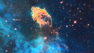 Ederson Prado - The Cosmos