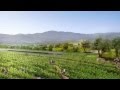 World S Largest Green Roof Unveiled In The Heart Of Silicon Valley