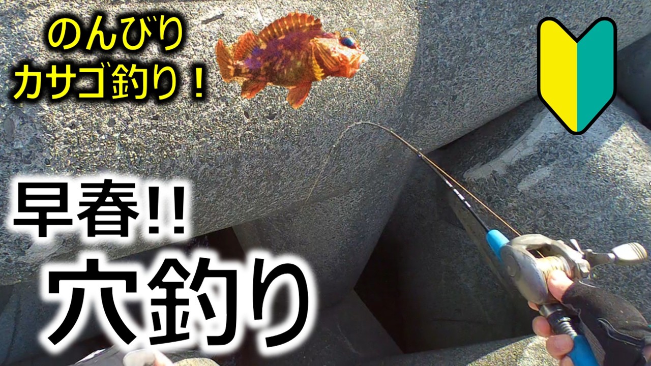 【穴釣り】早春高活性！のんびり穴釣り