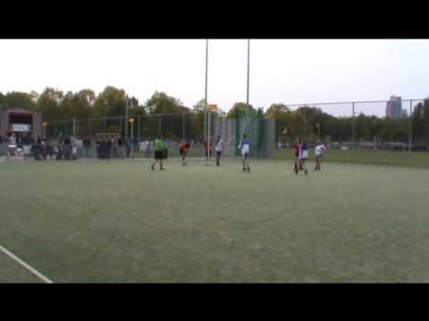 AW.DTV A1 - Meervogels A1