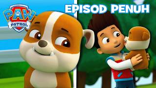 Download lagu PAW Patrol EPISOD PENUH | Pups Bertemu Rubble! 💛 | Kartun untuk Kanak-kanak mp3