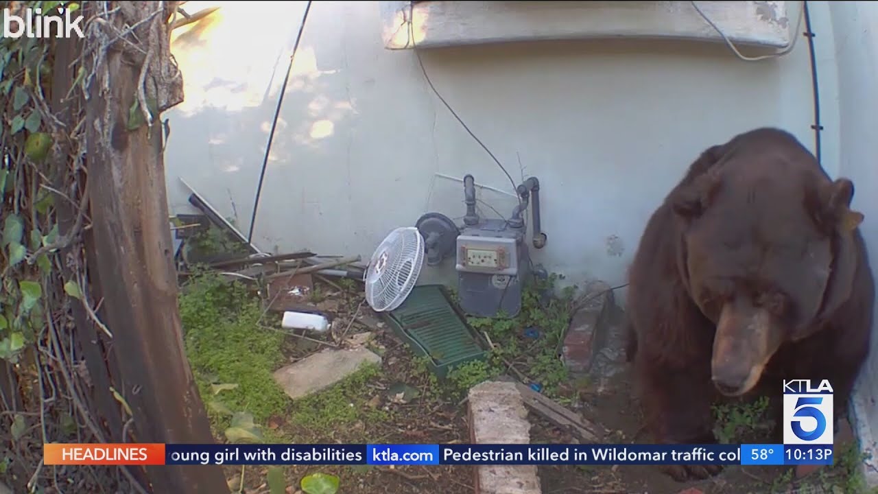 New Years Eve &ndash; Glenn Beck