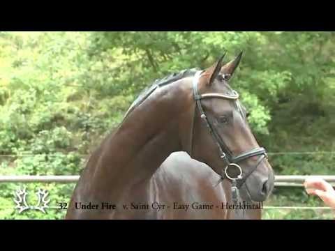 32   Under Fire   v  Saint Cyr   Easy Game   Herzkristall