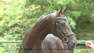Video koně Under Fire